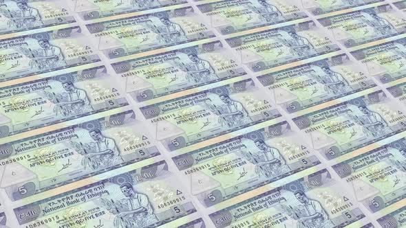 Ethiopia  Money / 5 Ethiopian Birr 4K