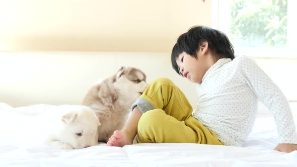 Cute Asian Child Playing With Puppy On A Bed