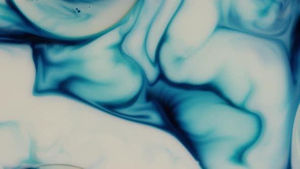 Fluid Abstract Motion Background 