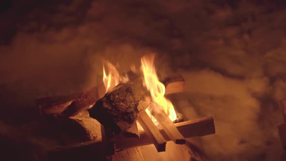 Birch Wood Fire Burns at Night