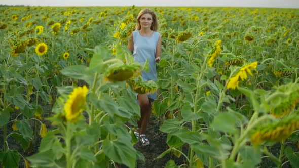 Portrait of a Young Woman in a Blue Dress Walking in the Sunflower Field Looking in the Camera