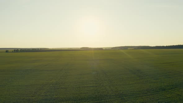 Aerial View of a Green Field with the Sun at Sunset