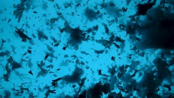 Underwater Footage of Pollution Problem Concept in Ocean