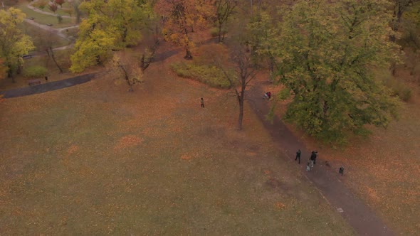 Two clips at people walking in the park. Shoot on a DJI Mavic Air in 4K at 29,97fps