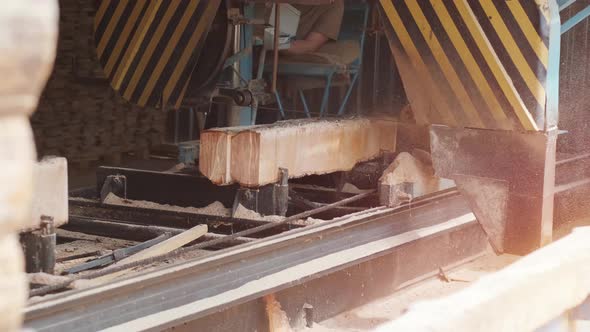 Closeup of cut pine tree log on sawing machine at wood production factory.