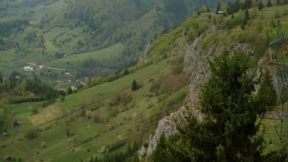 Beautiful Pastoral Landscape