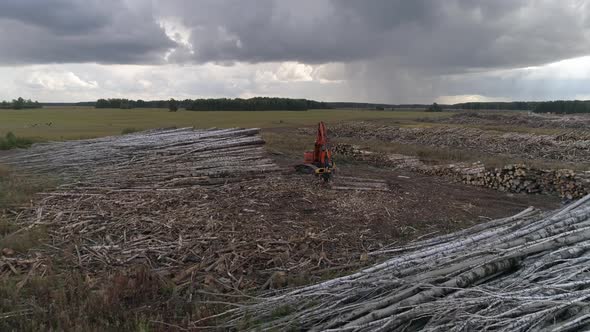 Aerial view of Harvester Cutting Tree Trunk in field near the forest 01