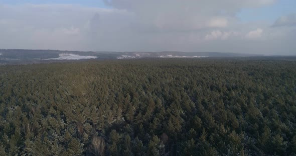 Landscapes Of Snow-covered Forest. 