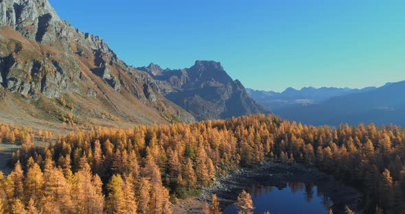 Backward Aerial Over Alpine Mountain Valley Lake and Orange Larch Forest Woods in Sunny Autumn