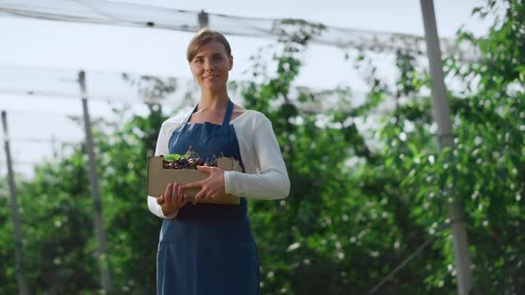 Farmer Holding Berry Crate Smiling Collecting Cherry on Warm Green Plantation