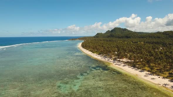 Tropical Beach with and Turquoise Sea