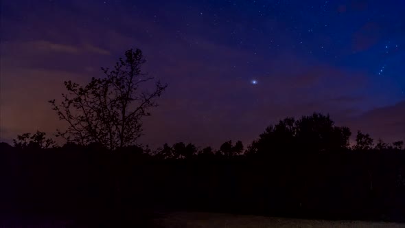 Night in Nature Time Lapse