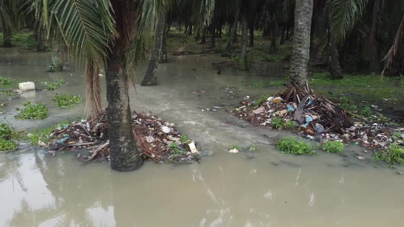 Aerial view rubbish dump at oil palm tree