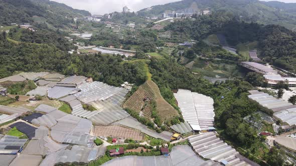 Cameron Highlands, Pahang Malaysia