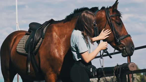 Happy Woman Stroking a Horse on a Farm in Nature at Summer Day Slow Motion