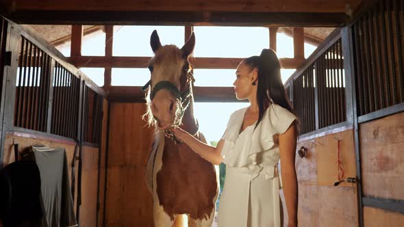 Brunette Model in White Dress Walks with Horse Along Stable