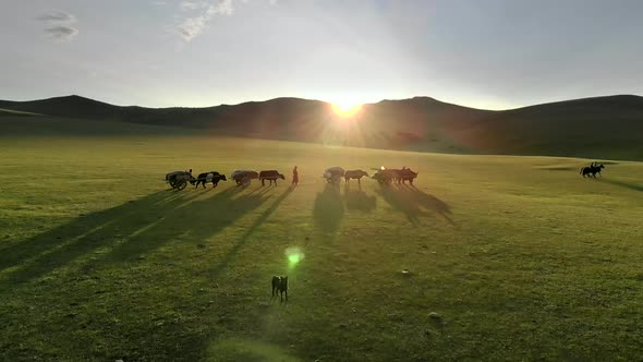 Central Asian Family People Walking Immigrating With Traditional Old Oxcart Tumbrel And Tumbril Cart