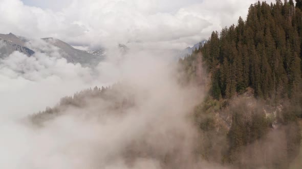 Flying through clouds near forest covered mountain slope