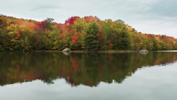 Colorful Vibrant Autumn Forest with Bright Yellow Red Orange and Green Leaves