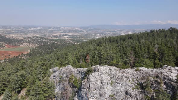 Green Forest From Mountain Peak