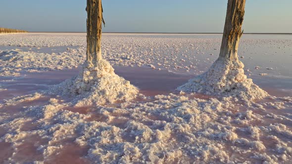 Salt Extracting Site on a Pink Salt Lake. Steadicam Shot