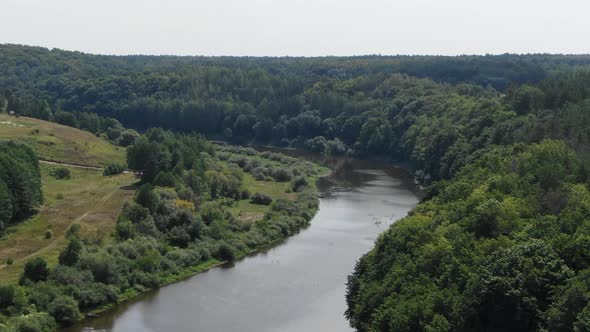 Aerial View of A River Bordered by Thick Forest