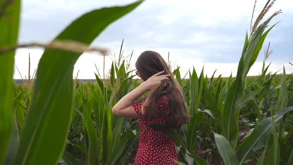 Beautiful Cute Girl in Red Dress Looking Into Camera and Straightening Her Long Brown Hair in Corn