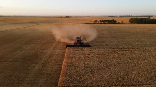 4k aerial frontal drone view of a modern combine harvesting wheat crop in Alberta, Canada.