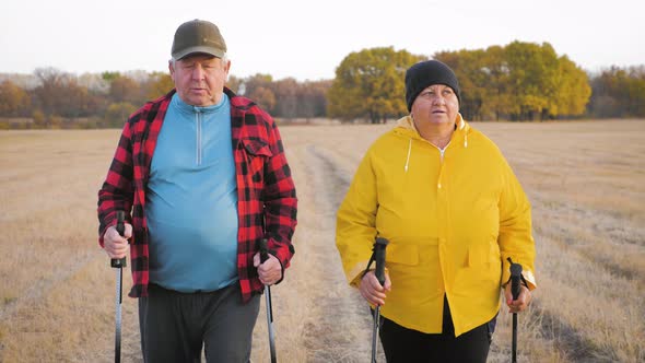 Mature Couple Nordic Walking on Pathway in the Meadow.