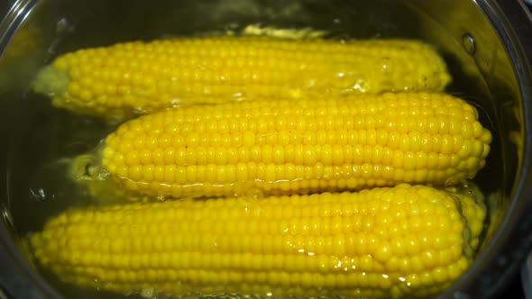 Cooking Young Corn Cobs in Boiling Water