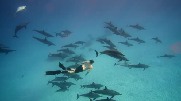 Beautiful Young Man Swimming Underwater with Dolphins in Pristine Blue Ocean Water Amazing