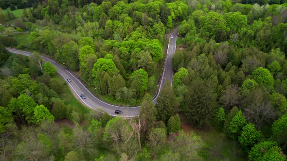 Aerial tracking shot of vehicle convoy travelling through lush forest landscape turns down winding r