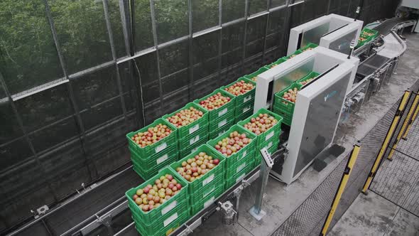 Plastic Boxes for Vegetables