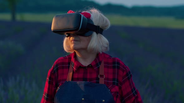 Senior Grandmother Farmer in Virtual Reality Helmet Managing Quality in Field of Lavender Flowers