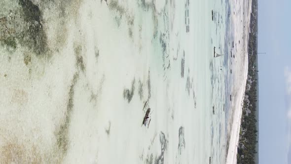 Zanzibar Tanzania  Vertical Video of Low Tide in the Ocean Near the Coast Slow Motion