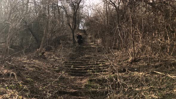 Low angle  going down scary stairways in the forest 4K 2160p 30fps UltraHD footage - Scene of female