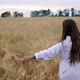 Romantic and Carefree Young Woman in Slow Motion Video Walking on Field Wheat Enjoying Freedom and - VideoHive Item for Sale