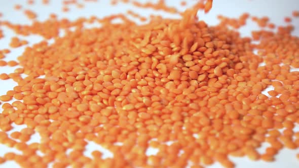 Legumes of yellow lentils fall in a heap