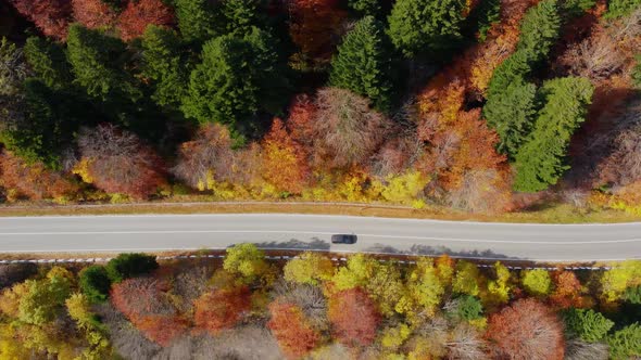 Autumn colors and mountain road aerial view