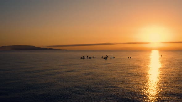 Silhouette of People Training Stand up Paddle at Sunrise