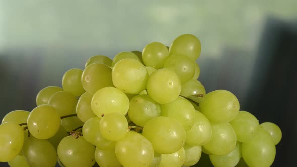 Closeup Shot of a Bunch of Juicy Grapes Rotating