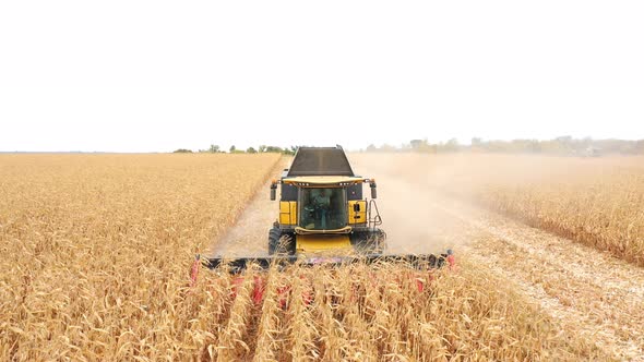 Aerial of Harvester Gathering Corn Crop in Farmland