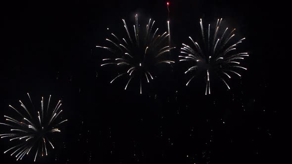 Many flashing colourful fireworks in event amazing with black background.