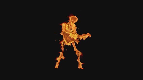 Fiery Skeleton - Show Guitarist