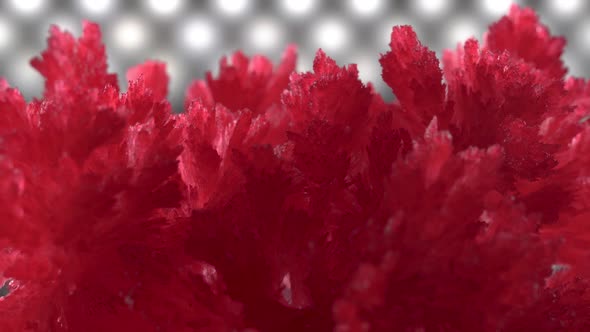 Beautiful Red Crystals on a Background of Diode Illumination. Crystals Slowly Spin and Sparkle