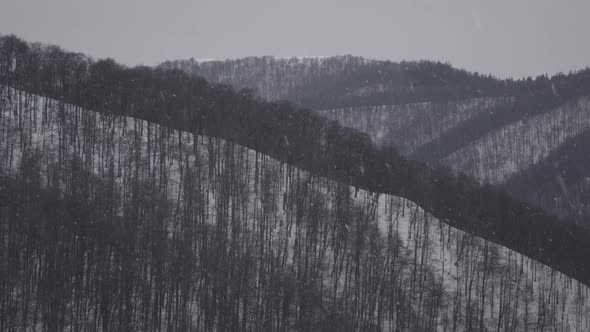 Snow Falling in Snowy Mountains and the Camera Slowly Panning