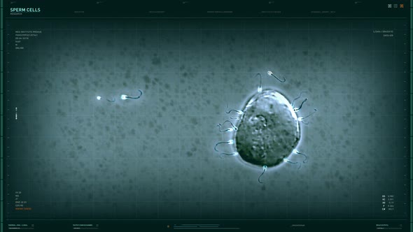 innovative Medical Research Software Shows Microscopic View Of Human Sperm Cells