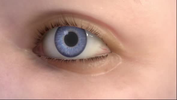 Transparent image of the eye, Tear film