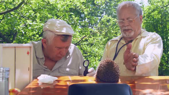 Retired Doctors Examine Hedgehog with Magnifying Glass