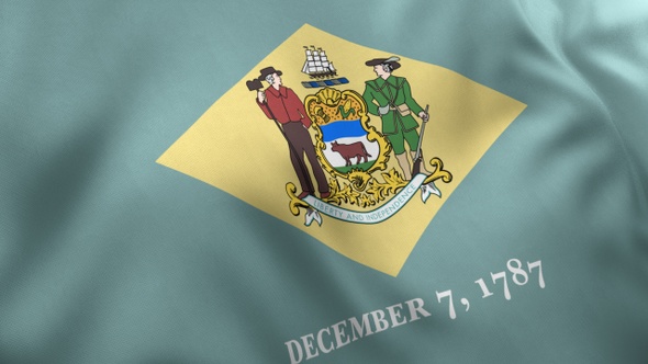 Delaware State Flag